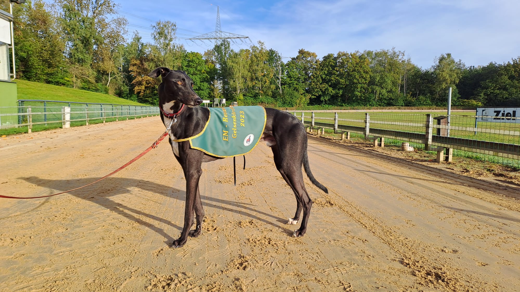 EM-Revanche Gelsenkirchen 24.09.23